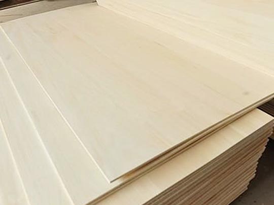 Paulownia Edge Glued Panels