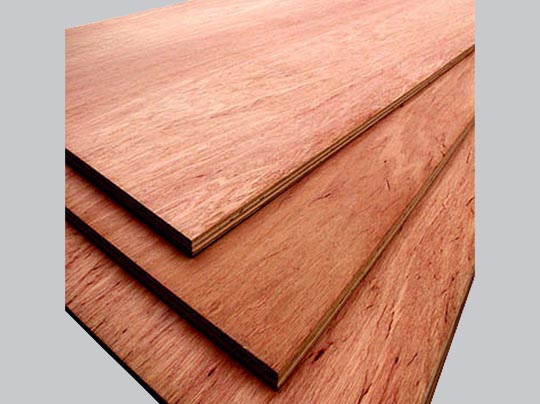 Bintangor Plywood